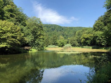 Bir Orman parkı Jankovac veya Umjetna jezera u Park sumi Jankovac yapay göller - Papuk doğa parkı, Hırvatistan