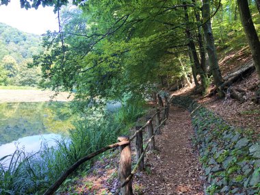 Yürüyüş ve yürüyüş parkurları veya Counts parkuru veya Poucna Grofova staza - Papuk doğa parkı, Hırvatistan