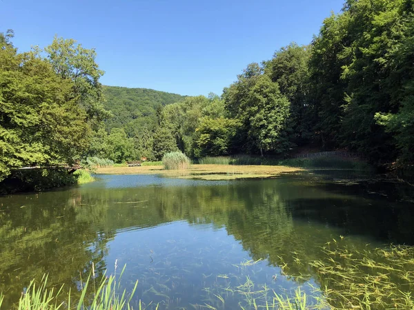 Konstgjorda Sjöar Skogspark Jankovac Eller Umjetna Jezera Park Sumi Jankovac — Stockfoto