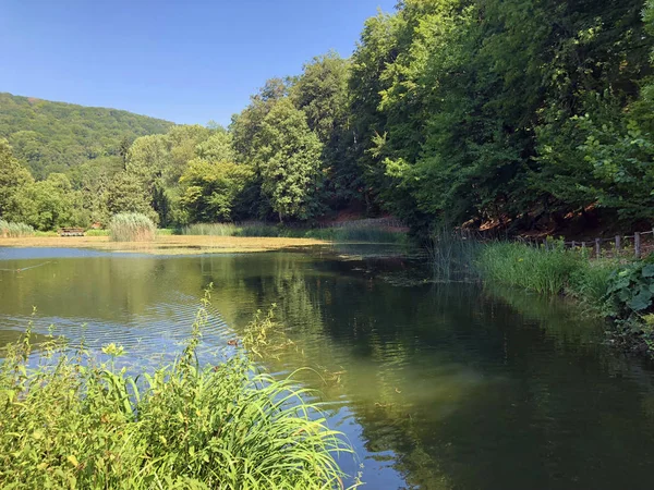 Lacs Artificiels Dans Parc Forestier Jankovac Umjetna Jezera Park Sumi — Photo