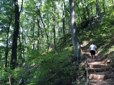 Yürüyüş ve yürüyüş parkurları veya Counts parkuru veya Poucna Grofova staza - Papuk doğa parkı, Hırvatistan