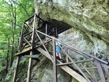 Bir Orman parkı Jankovac veya Grobnica Josipa pl. Jankovica u Park sumi Jankovac kont Josip Jankoviç Crypt mağarası - Papuk doğa parkı, Hırvatistan