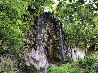 Şelale Skakavac bir Orman parkı Jankovac veya Tokat Skakavac u Park sumi Jankovac - Papuk doğa parkı, Hırvatistan