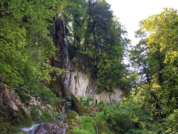 Waterval Skakavac Een Bospark Jankovac Slap Skakavac Park Sumi Jankovac — Stockfoto