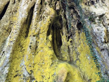 Orman parkı Jankovac kireçtaşı kayalar - Papuk doğa parkı, Hırvatistan