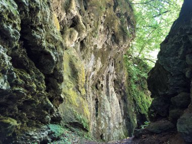 Orman parkı Jankovac kireçtaşı kayalar - Papuk doğa parkı, Hırvatistan