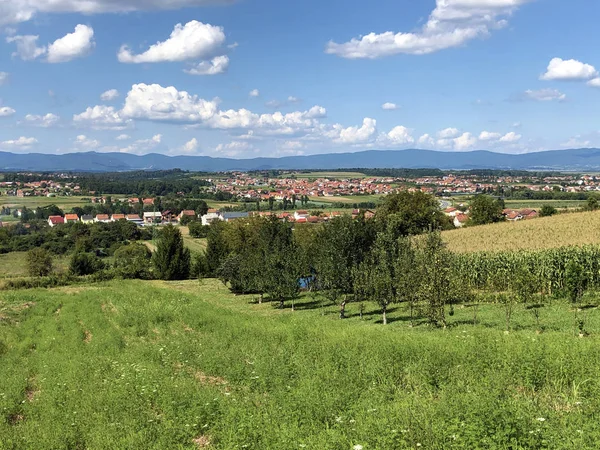 Unga Fruktodlingar Och Jordbruksområden Pozega Basin Drskovci Kroatien — Stockfoto