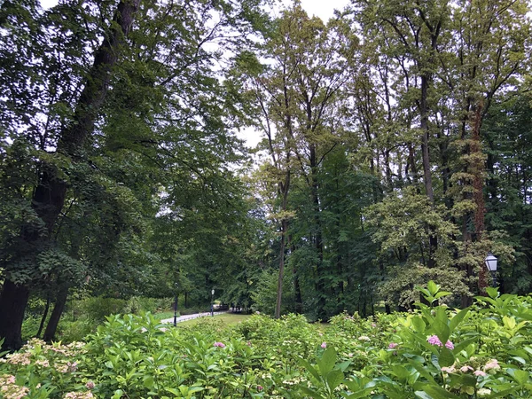 Park Maksimir Der Maksimir Park Der Maksimir Park Maksimirski Perivoj — Stockfoto