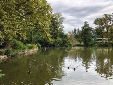 Maksimir Parkı veya Prvo Jezero u Maksimirskom Perivoju ili u Parku Maksimir ilk Gölü - Zagreb, Hırvatistan (Hrvatska)