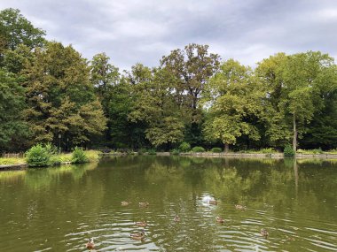 Maksimir Parkı veya Prvo Jezero u Maksimirskom Perivoju ili u Parku Maksimir ilk Gölü - Zagreb, Hırvatistan (Hrvatska)