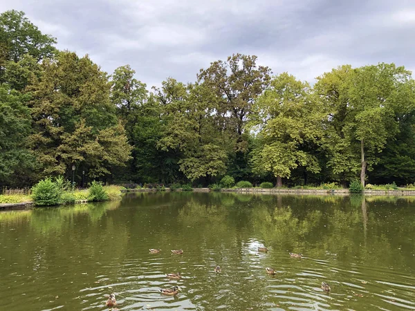 Πρώτη Λίμνη Στο Πάρκο Maksimir Prvo Jezero Maksimirskom Perivoju Ili — Φωτογραφία Αρχείου