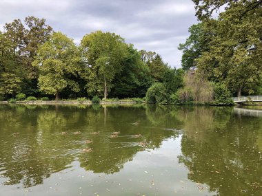 Maksimir Parkı veya Prvo Jezero u Maksimirskom Perivoju ili u Parku Maksimir ilk Gölü - Zagreb, Hırvatistan (Hrvatska)
