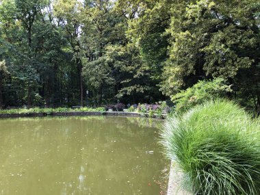 Maksimir Parkı veya Prvo Jezero u Maksimirskom Perivoju ili u Parku Maksimir ilk Gölü - Zagreb, Hırvatistan (Hrvatska)