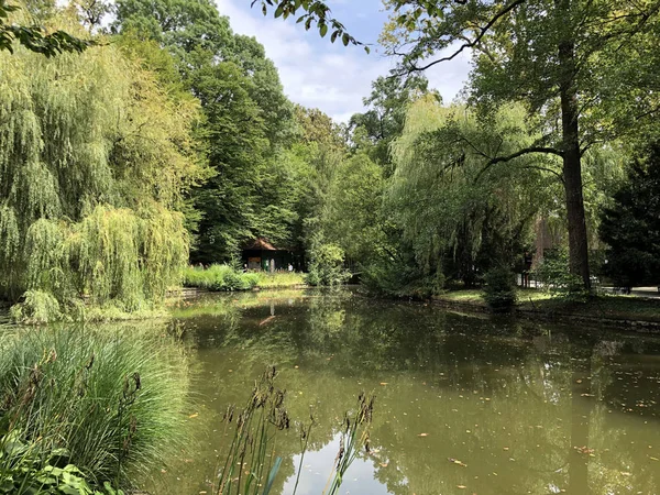 První Jezero Maksimir Parku Nebo Prvo Jezero Maksimirskom Perivoju Ili — Stock fotografie