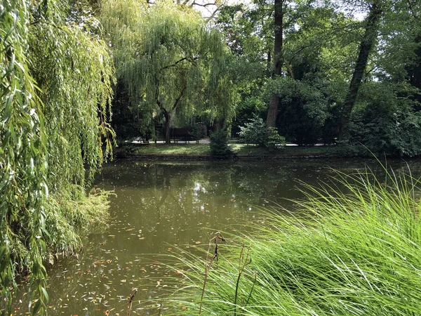 Primeiro Lago Maksimir Park Prvo Jezero Maksimirskom Perivoju Ili Parku — Fotografia de Stock