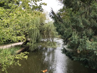 Maksimir Parkı veya Prvo Jezero u Maksimirskom Perivoju ili u Parku Maksimir ilk Gölü - Zagreb, Hırvatistan (Hrvatska)