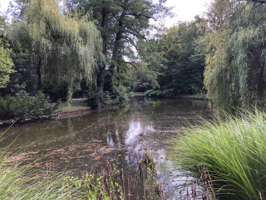 Maksimir Parkı veya Prvo Jezero u Maksimirskom Perivoju ili u Parku Maksimir ilk Gölü - Zagreb, Hırvatistan (Hrvatska)
