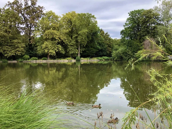 Πρώτη Λίμνη Στο Πάρκο Maksimir Prvo Jezero Maksimirskom Perivoju Ili — Φωτογραφία Αρχείου