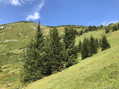 Oberseetal alp vadisinin yamaçlarında ve Glarnerland turistik bölgesinde, Nafels (Naefels) - Glarus Kantonu, İsviçre