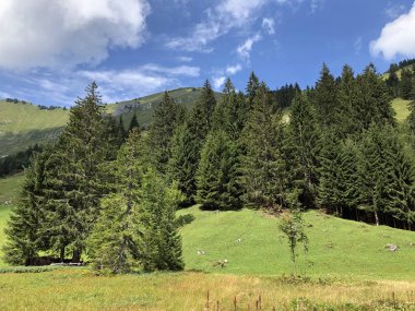 Oberseetal alp vadisinin yamaçlarında ve Glarnerland turistik bölgesinde, Nafels (Naefels) - Glarus Kantonu, İsviçre