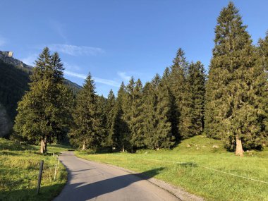 Oberseetal alp vadisindeki alp otlakları ve otlaklar, Nafels (Naefels) - Glarus Kantonu, İsviçre