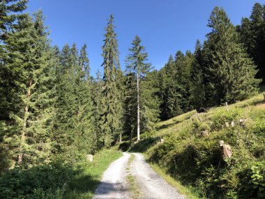 Oberseetal alp vadisindeki alp otlakları ve otlaklar, Nafels (Naefels) - Glarus Kantonu, İsviçre