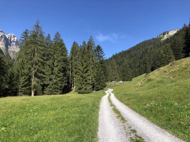 Oberseetal alp vadisindeki alp otlakları ve otlaklar, Nafels (Naefels) - Glarus Kantonu, İsviçre