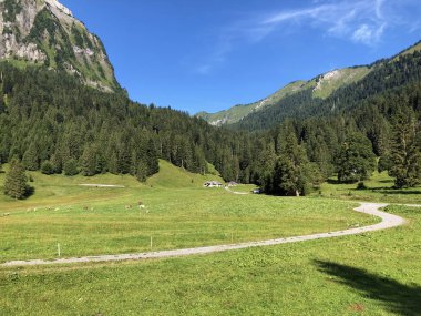 Oberseetal alp vadisindeki alp otlakları ve otlaklar, Nafels (Naefels) - Glarus Kantonu, İsviçre