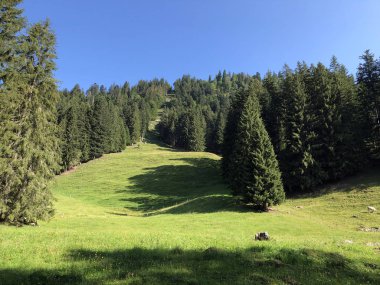 Oberseetal alp vadisindeki alp otlakları ve otlaklar, Nafels (Naefels) - Glarus Kantonu, İsviçre