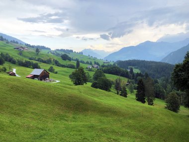 Oberseetal alp vadisindeki alp otlakları ve otlaklar, Nafels (Naefels) - Glarus Kantonu, İsviçre