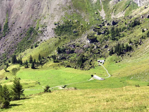 Alpské Pastviny Louky Alpském Údolí Oberseeton Nafels Naefels Kanton Glarus — Stock fotografie