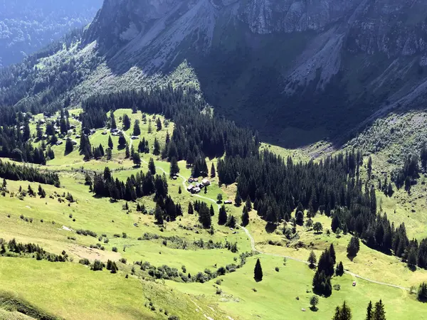 Almen Und Wiesen Oberseetal Nafels Näfels Kanton Glarus Schweiz — Stockfoto