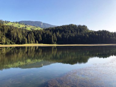 Glarus Alpleri dağ masifinde alp gölü Obersee ve Glarnerland turistik bölgesinde, Nafels (Naefels) - Glarus Kantonu, İsviçre