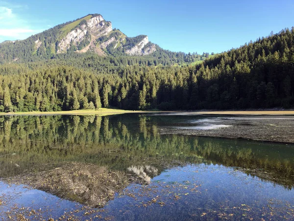 阿尔卑斯山奥伯湖在格拉鲁斯阿尔卑斯山山马西夫和格拉纳兰旅游区 纳费尔斯 内费尔斯 格拉鲁斯州 — 图库照片