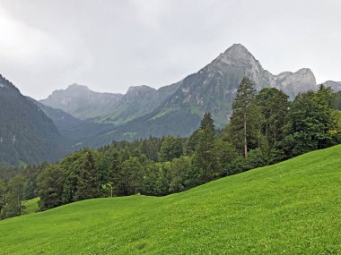 Brunnelistock (Bruennelistock) Oberseetal vadisi ve Alp Gölü Obersee, Nafels (Naefels) - Kanton Glarus, İsviçre üzerinde Dağ
