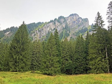 Brunnelistock (Bruennelistock) Oberseetal vadisi ve Alp Gölü Obersee, Nafels (Naefels) - Kanton Glarus, İsviçre üzerinde Dağ
