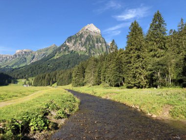 Oberseetal dağ vadisinde ve Glarnerland turistik bölgesinde Alp deresi Sulzbach, Nafels (Naefels) - Glarus Kantonu, İsviçre