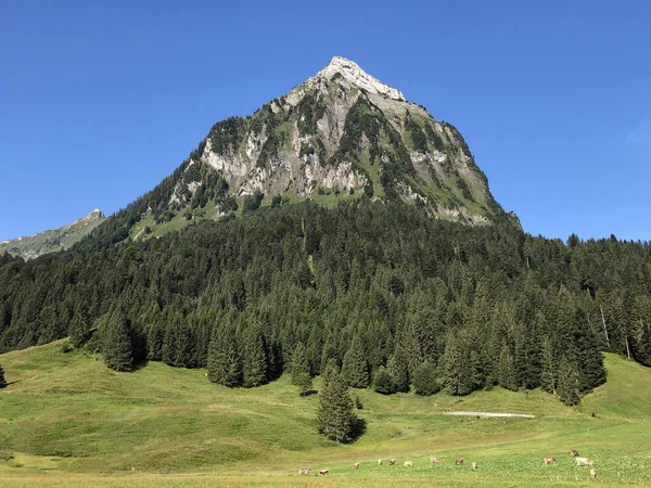 Brunnelistock Bruennelistock Hora Nad Údolím Oberseální Alpské Jezero Obersee Nafels — Stock fotografie