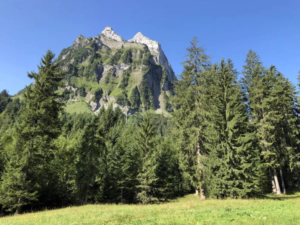 Brunnelistock Bruennelistock Hora Nad Údolím Oberseální Alpské Jezero Obersee Nafels — Stock fotografie