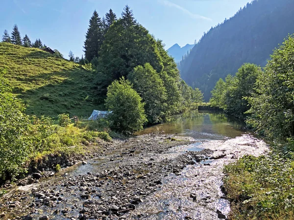 Ruscello Alpino Auenbach Una Valle Montuosa Dell Oberseetal Nella Regione — Foto Stock