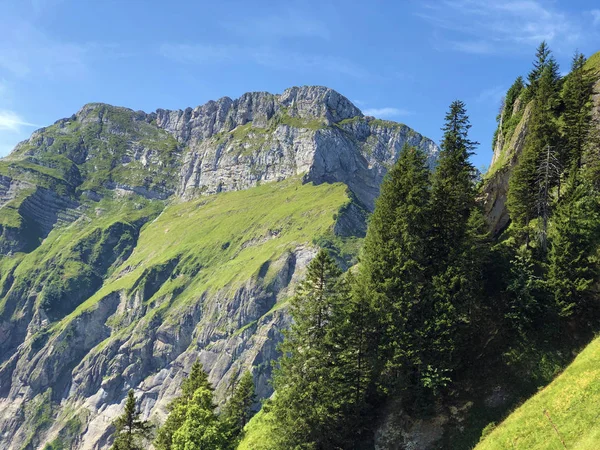 奥伯塞塔尔山谷上方的希伯格山和格拉鲁斯阿尔卑斯山脉的马斯菲夫 纳费尔斯 内费尔斯 瑞士格拉鲁斯州 — 图库照片