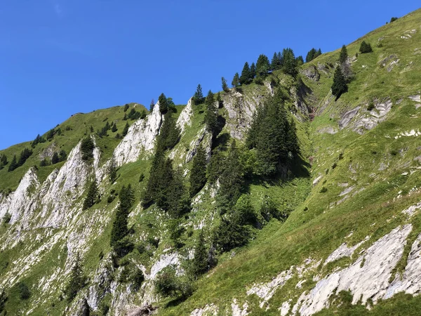 Bockmattlistock Montaña Sobre Valle Del Oberseetal Los Alpes Glarus Masiff —  Fotos de Stock