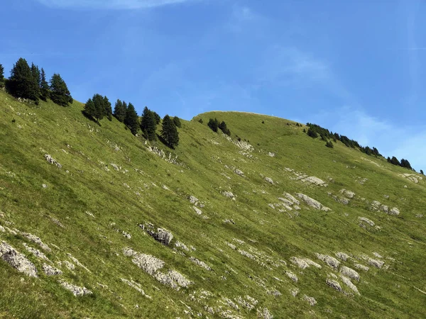 Βουνό Τιτιμπεργκ Πάνω Από Την Κοιλάδα Oberseetal Και Στις Άλπεις — Φωτογραφία Αρχείου