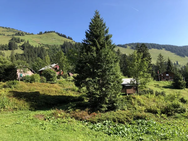 Villaggio Alpino Vorder Ahornenin Una Valle Montuosa Oberseetal Nella Regione — Foto Stock
