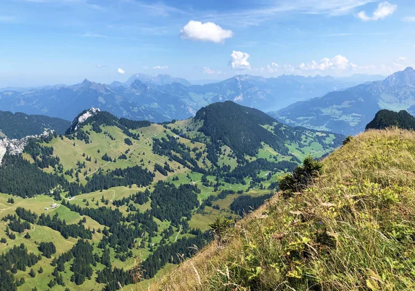 Kilátás Tierberg Felső Felén Oberseetal Völgy Glarus Alpok Hegyen Masiff — Stock Fotó