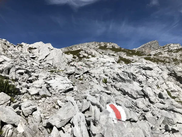 Rutas Senderismo Senderismo Valle Wagital Waegital Lago Alpino Wagitalersee Waegitalersee —  Fotos de Stock