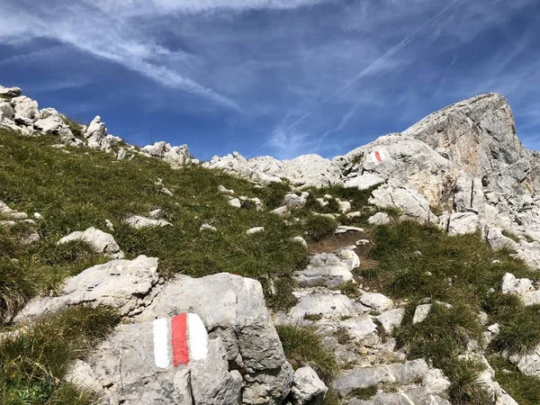 Rutas Senderismo Senderismo Valle Wagital Waegital Lago Alpino Wagitalersee Waegitalersee —  Fotos de Stock