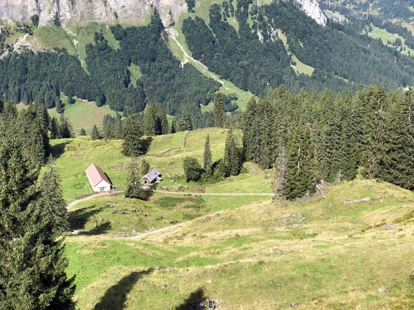 Alpine Pastures Grasslands Wagital Valley Waegital Wgital Innerthal Canton Schwyz — Stock Photo, Image