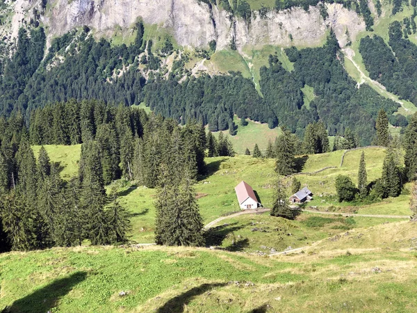 Pastos Alpinos Praderas Valle Wagital Waegital Wgital Innerthal Cantón Schwyz —  Fotos de Stock