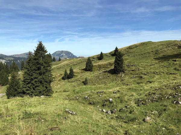Alpské Pastviny Travní Louky Údolí Waganitálií Waegital Nebo Wgital Innerthal — Stock fotografie